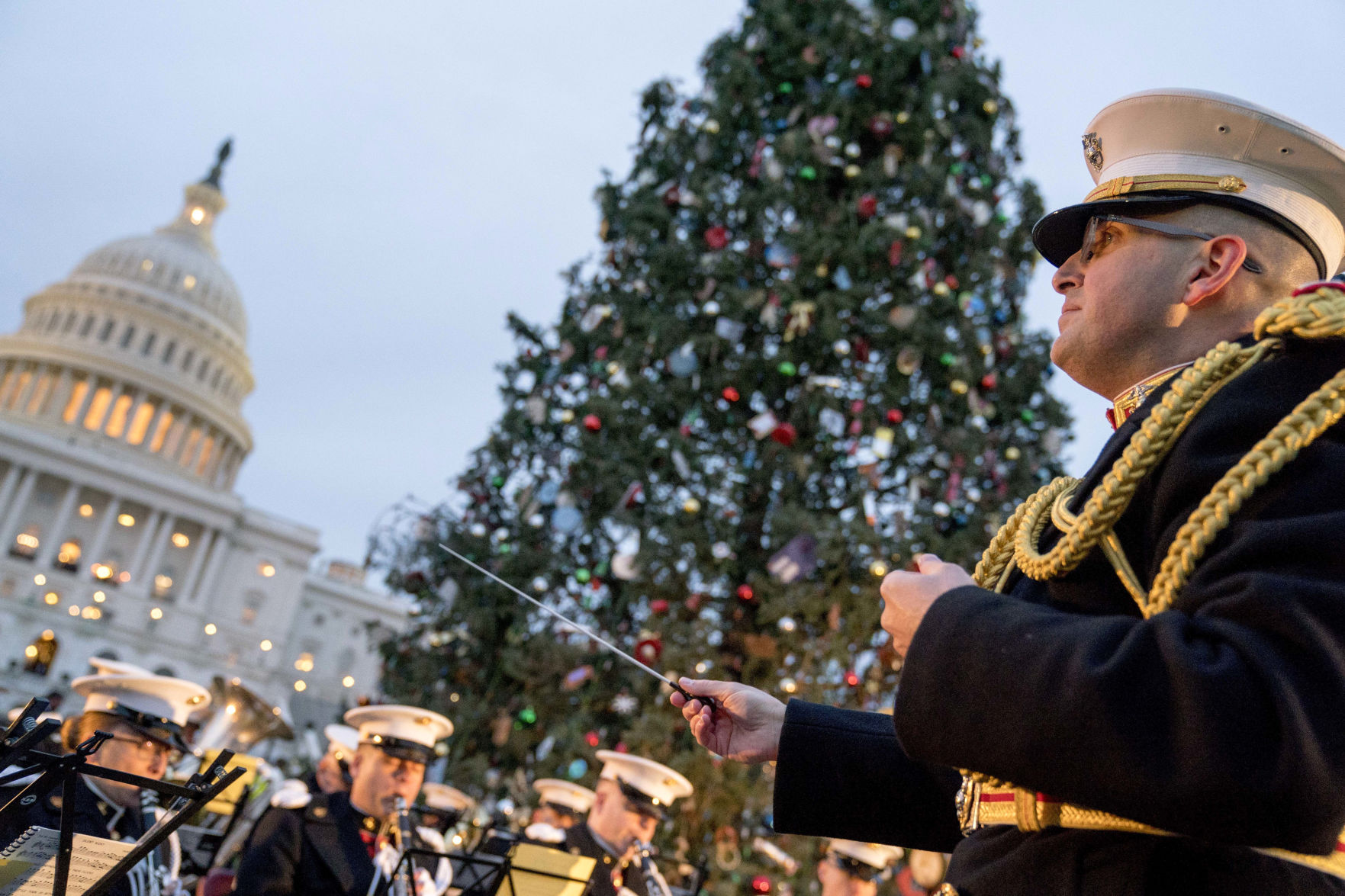 Capitol Christmas Tree Lighting